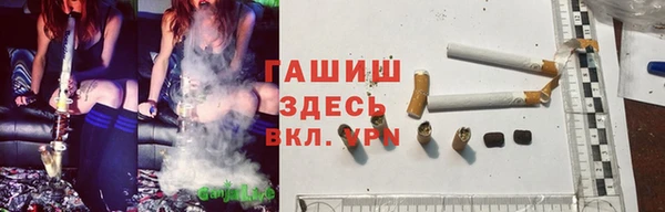 каннабис Аркадак