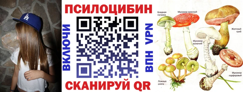 Псилоцибиновые грибы мухоморы  hydra ONION  Протвино  магазин продажи наркотиков 